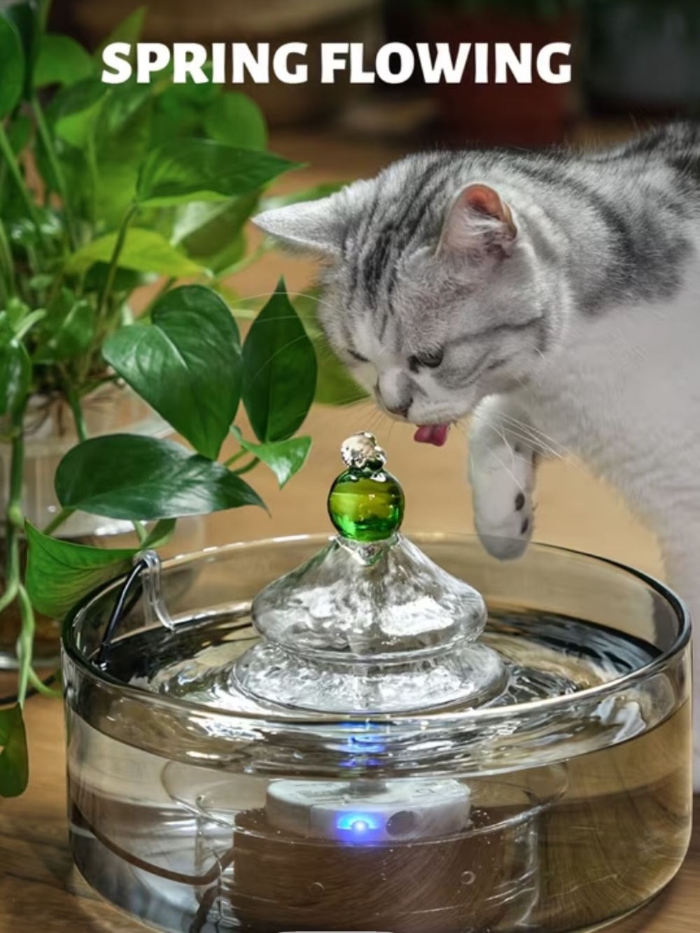 All Glass Pet Water Fountain - Clear Glass w/ Green Accent - NWT